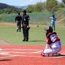 2025성주군수배 이미지