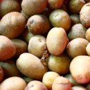 청량초등학교 이미지