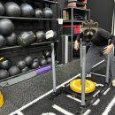 하이런 하이브리드짐 이미지