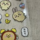 거꾸로 본 안경세상 이미지