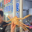 면이랑밥이랑 | 구룡포 시장의 정여사 밥이랑 회랑에서 먹은 박달대게 1.2kg 내돈내산 후기