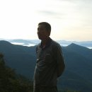 산삼감정협회 Daum카페