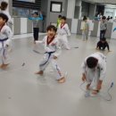 태권도담 네이버블로그