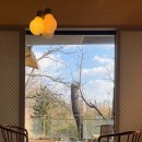 보름산미술관 이미지