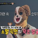 지인 오마이걸 효정이 주는 힌트!⭐ 소멸 직전의 작은 얼굴을 가진 '모르는 개 산책'?!, MBC 231126 방송 이미지