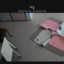 앱스코트 | 고양이 털관리 영양제 마이크로신 캣 헤어볼앤스킨+코트 급여 후기