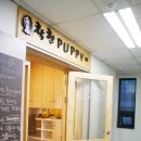 착한퍼피 이미지