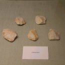 전곡 시가지 이미지