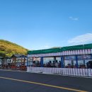 욕지도요참치