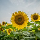 해마농장 이미지