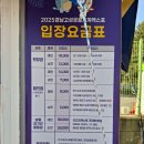 경산공룡박물관 | 경남고성공룡세계엑스포 이용후기 및 퍼레이드
