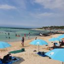 달시플러스 이미지