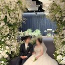 트리니티 | 웨딩시그니처 합정 트리니티홀 본식 진행 후기