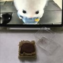 신반포로41길 10 | 두바이쫀~득쿠키 2