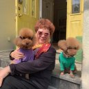 안녕, 내강아지 이미지