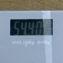 보름 | 해인부부 감비환 다이어트 한약 보름 후기 (56.8 → 54.4kg, 약만 믿으면 안 되는 이유)