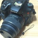 베네니케 | [후기] DSLR 디그니스 베네니케 가죽 스트랩 /디그니스 렌즈캡 GUM