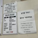 대전 도안동 해물이 푸짐하고 신선한 신상 짬뽕 맛집 &#39;백손 짬뽕&#39; 방문 후기