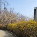 성라공원1 약수터 이미지