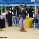 발안바이오고등학교 이미지