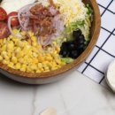 프레스코302 이미지