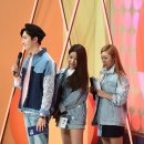 솔라 이미지