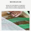 BS소프트 | [내돈내산] 버즈가구 루멜 2인 소파, 카우치 소파, 고양이와 함께 쓰는 소파 추천. 1인 가구 소파 추천