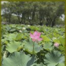 서공주JC(공주) 이미지