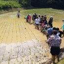 예하지마을 이미지