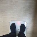 정식품영덕
