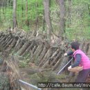 미천시장 이미지