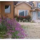 흙집 민박 이미지