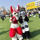 (주)알이알인스트 1호 | 2026 퍼리조아 : 매직 앤 판타지 보물 1호의 최애 퍼리축제 YMCA 고양 청소년문화센터 - 제이네일상