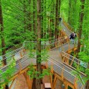 장태산자연휴양림 이미지