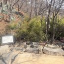 불국사 | 경상북도 경주시 석굴암, 불국사 (다보탑,석가탑) 방문 후기