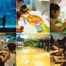 물고기나라 - 부천시 소사구 자유로 35-4 | 물고기나라