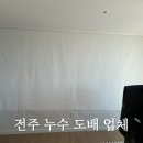 전주누수도배 업체 전주올바른도배 에서 프리모 세이프가드 도배 시공 솔직 후기