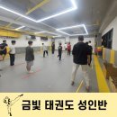 금빛성인태권도 이미지
