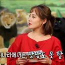 유진랜드 이미지