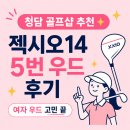 우드로 | 청담 골프샵 여자 우드 추천 결국 젝시오14 5번 우드로 바꾼 후기