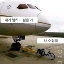 놀고 먹고 놀기..만 한 일상