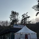 호텔 볼 | 충북 영동 맛집 심쿵바베큐 일라이트 호텔 근처 가볼만한곳 예약 가격 후기