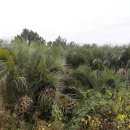 한림농장 이미지