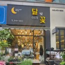 [대전 둔산동 꽃집 추천] 감성 가득한 ‘달빛아래꽃’에서 맞춤 꽃다발 포장 후기