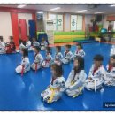 용인대 성원 태권도 이미지