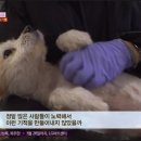 일명농장 이미지