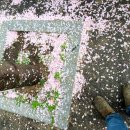 하늘뜰 농장 이미지