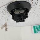 돔무인텔 이미지