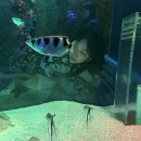 씨유 덕소점 | 진짜 알차다 3월.. 사진 양을 보세요