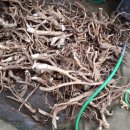 덕상농장 이미지